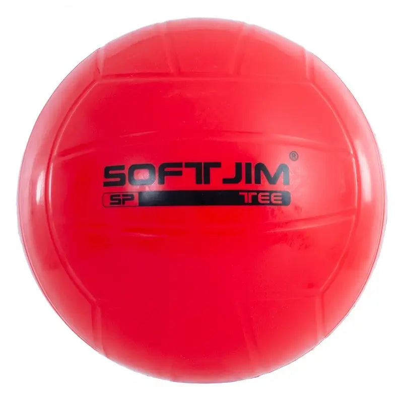 Bola de Mini-Voleibol Softee Soft