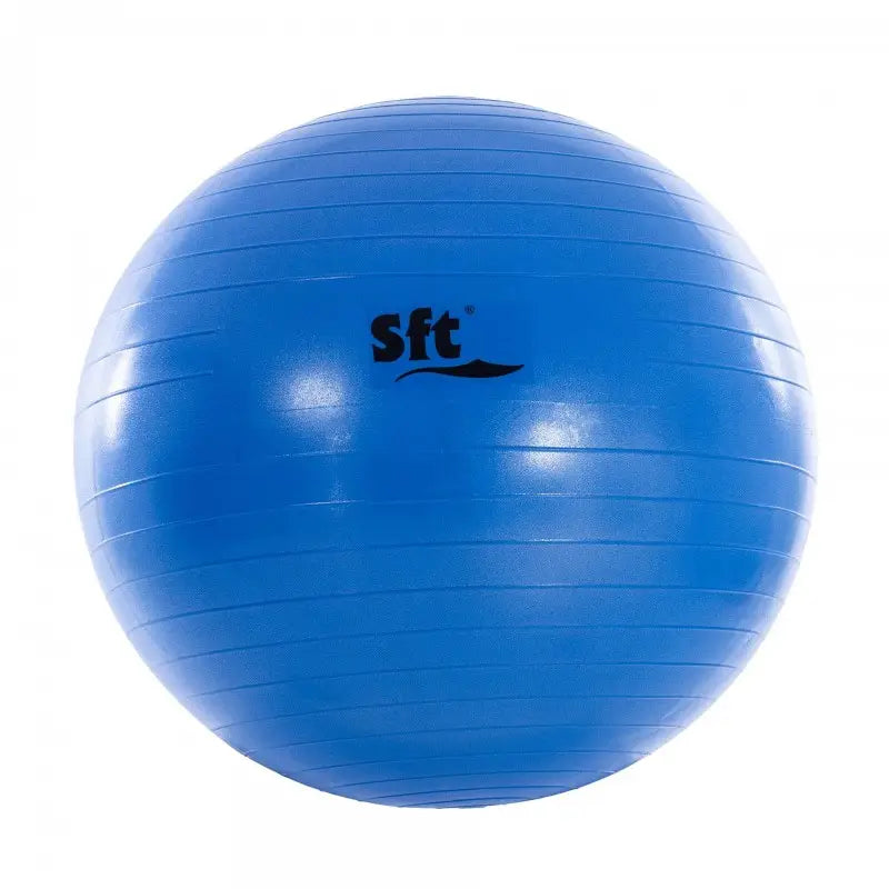 Bola Gigante Flexi
